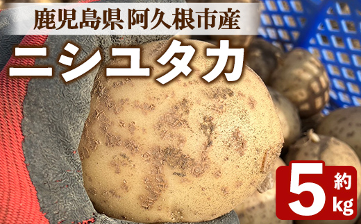 ＜先行予約受付中！2026年6月以降順次発送予定＞じゃがいも ニシユタカ(5kg) 国産 鹿児島県産 阿久根市産 じゃがいも ジャガイモ 芋 ポテト にしゆたか 野菜 期間限定 数量限定 ポテトサラダ コロッケ 常温 常温配送 【慶越農園】akn107-09