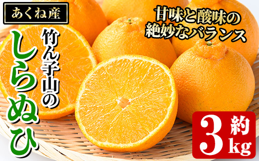 竹ん子山のしらぬひ(約3kg) 国産 鹿児島県産 阿久根産 柑橘 果物 しらぬい 不知火 フルーツ 果実 期間限定【竹ん子山】akn097-16