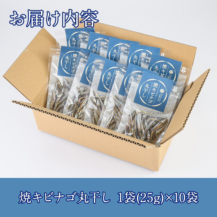 焼キビナゴ丸干し10袋セット(25g×10袋)海産物 きびなご おつまみ おかず【下園薩男商店】a-16-39