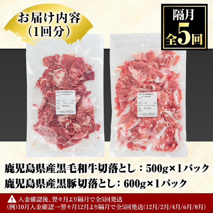 ＜定期便・全5回(隔月)＞鹿児島県産黒毛和牛・黒豚切り落とし定期便(総量5.5kg)国産 九州産 鹿児島産 牛肉 豚肉 国産牛 切り落とし 切落し 赤身 小分け 頒布会【スターゼン】a-66-3