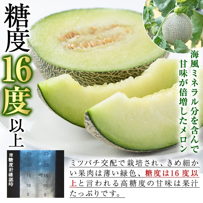 ïŒå
è¡äºçŽåä»äžïŒ2027幎6æäžæ¬ä»¥éé æ¬¡çºéäºå®ïŒ æ°ééå®ïŒé¹¿å
å³¶çç£ååœã°ãªãŒã³ã¡ãã³(4Lãµã€ãºÃ1å) ã¡ãã³ ãã«ãŒã ãã¶ãŒã æç© 鹿å
å³¶ åœç£ é¿ä¹
æ ¹åžç£ éè ããŠã¹ ããŠã¹æ œå¹ æééå® ãæ±æ°ã°ãªãŒã³ãã¡ãŒã ååäŒç€Ÿãakn062-14