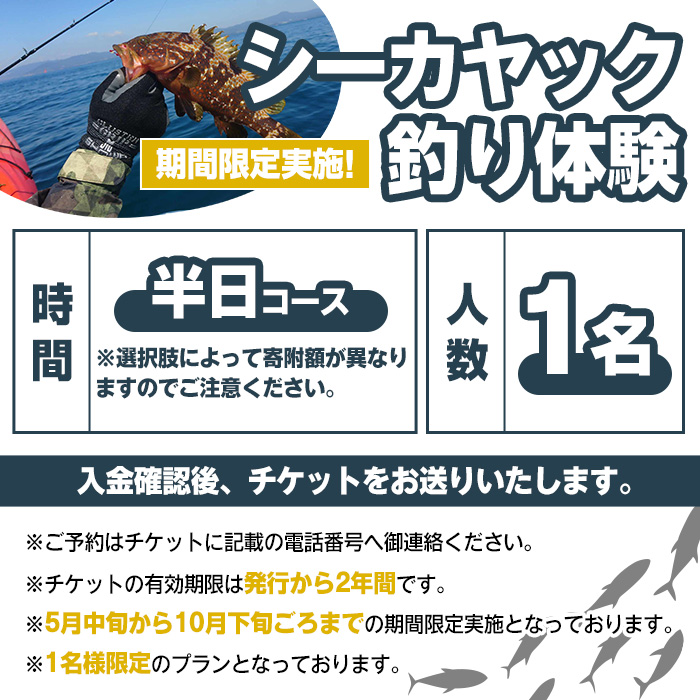 期間限定実施『パズル』オリジナル！シーカヤック釣り体験チケット(半日/1名) 阿久根 釣り シーカヤック アウトドア アクティビティ 自然 体験 ツアー チケット 海 マリンスポーツ 魚【パズル】a-40-16