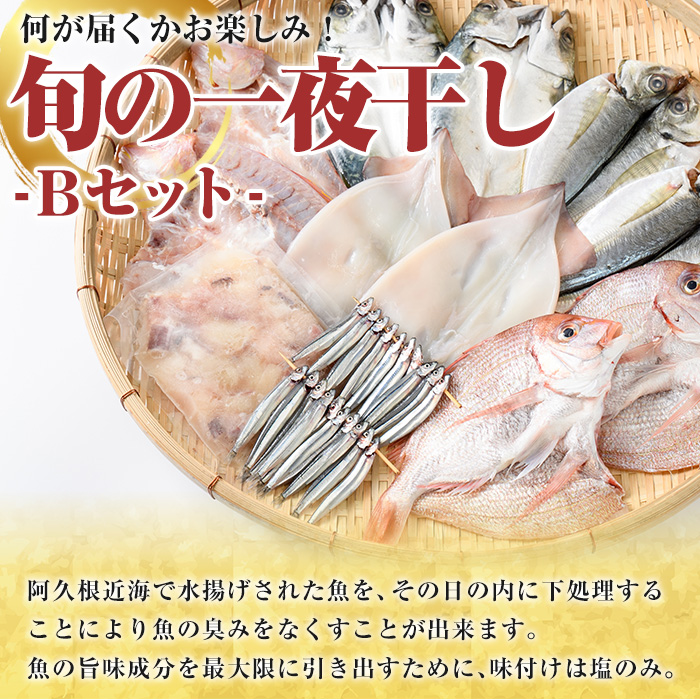 数量限定！阿久根市産の旬の一夜干しグルメ＜B＞セット(鯛・アジ・イカ・サバなど)国産 鮮魚 詰め合わせ お楽しみ 海の幸 魚介類 干物 海鮮【さるがく水産】a-24-34-z