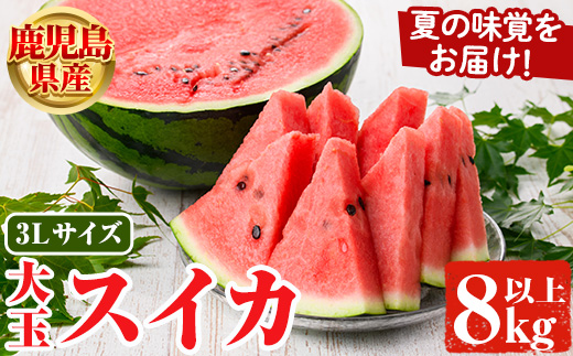 ＜先行予約受付中！2026年6月中旬以降順次発送予定＞鹿児島県産 大玉スイカ(3Lサイズ・1玉) 国産 果物 スイカ すいか 西瓜 フルーツ スイーツ スムージー ジュース【松永青果】akn053-15