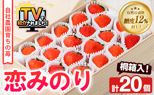 ＜先行予約受付中！2026年1月以降順次発送予定＞桐箱入！自社農園産いちご 恋みのり(計20個) 鹿児島 阿久根 自社農園 果物 フルーツ イチゴ いちご 苺 恋みのり 贈答用 ギフト 桐箱 デザート 期間限定【農園ガーデン空】akn026-11