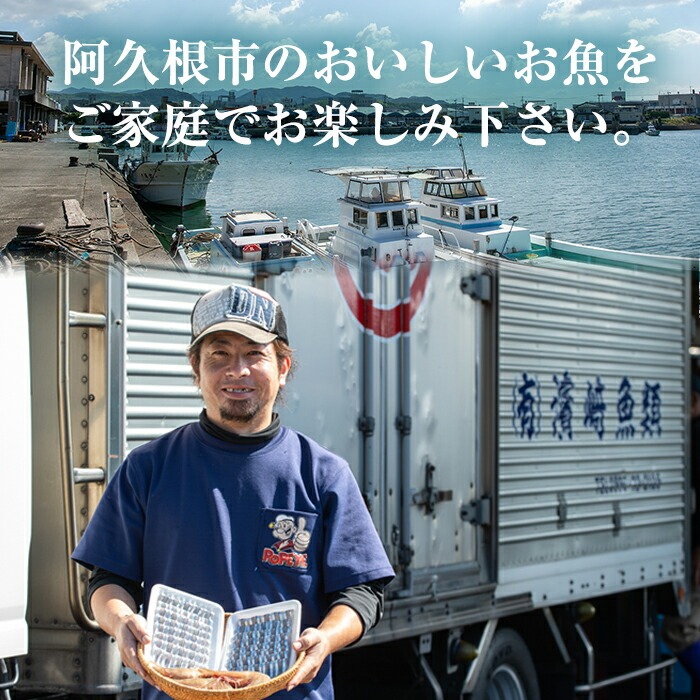 ＜冷凍＞鹿児島県阿久根産 天然きびなごのお刺身(計160尾・20尾×8パック) 国産 魚介 魚貝 海産物 鮮魚 刺身 天ぷら 冷凍配送 キビナゴ 海鮮丼 食品 セット 詰め合わせ 水産加工品 【濱崎魚類】a-12-227-z