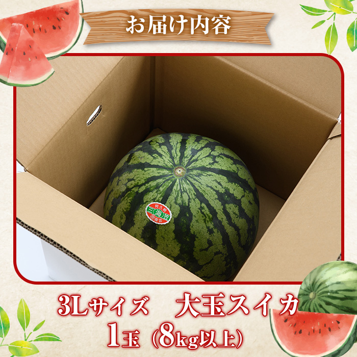 ïŒå
è¡äºçŽåä»äžïŒ2026幎6æäžæ¬ä»¥éé æ¬¡çºéäºå®ïŒé¹¿å
å³¶çç£ å€§çã¹ã€ã«(3Lãµã€ãºã»1ç) åœç£ æç© ã¹ã€ã« ããã 西ç ãã«ãŒã ã¹ã€ãŒã ã¹ã ãŒãžãŒ ãžã¥ãŒã¹ãæŸæ°žéæãakn053-15