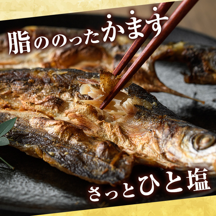 鹿児島県阿久根市産干物！かます開き(計15枚・3枚×5袋)国産 魚介 加工品 ひもの おかず おつまみ【川本商店】a-13-25-z