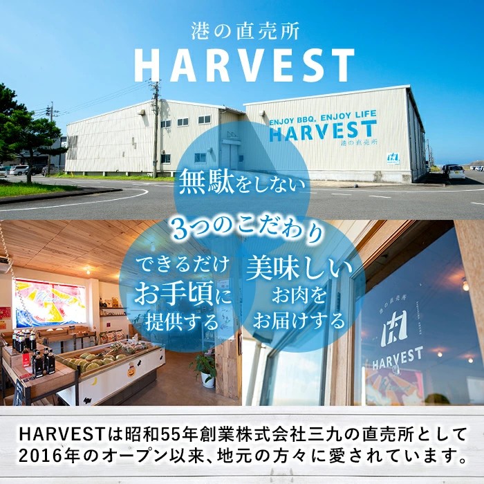 数量限定！日本蜜蜂 はちみつ(300g) 国産 蜂蜜 ハチミツ 日本ミツバチ 非加熱 ハニー ボトル 【三九】akn006-17