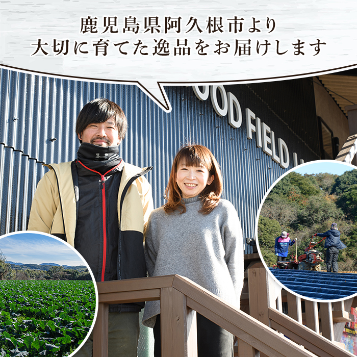 鹿児島県産紅はるか使用！焼き干し芋(計800g・100g×8個) 国産 紅はるか 熟成 芋 ほし芋 干しいも さつまいも 焼き芋 焼きいも おやつ【合同会社グッドフィールド】akn056-09