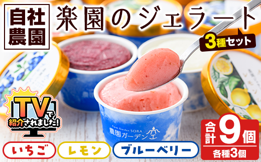 楽園のジェラート3種セット(合計9個) スイーツ デザート おやつ ジェラート アイス 夏 いちご レモン ブルーベリー 自社農園【農園ガーデン空】akn026-05