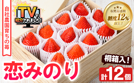 ＜先行予約受付中！2026年1月以降順次発送予定＞桐箱入！自社農園産いちご 恋みのり(計12個) 鹿児島 阿久根 自社農園 果物 フルーツ イチゴ いちご 苺 恋みのり 贈答用 ギフト 桐箱 デザート 期間限定【農園ガーデン空】akn026-10