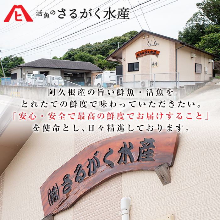 鹿児島県産地たこのゆでたこ(計400g) 国産 九州産 新鮮 地ダコ 魚介 魚貝 海産物 海鮮 蛸 味付 刺身 磯辺焼き たこ焼き 唐揚げ 料理 おかず お弁当【さるがく水産】a-10-38-z