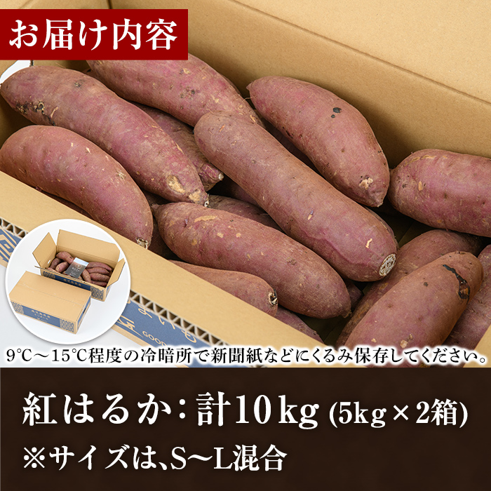 訳あり！鹿児島県産さつまいも｢紅はるか｣(計10kg) 大容量 国産 熟成 詰め合わせ 野菜 さつま芋 焼芋 鹿児島産 大小混合 期間限定 常温保存【合同会社グッドフィールド】a-12-106-z