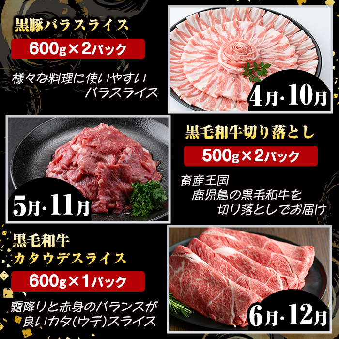 ＜定期便・全12回(連続)＞鹿児島県産 黒毛和牛・黒豚定期便 B (総量約11.9kg以上) 国産 鹿児島県産 黒豚 しゃぶしゃぶ 肩 ロース スライス 訳あり 切り落とし 黒毛和牛 サーロイン ステーキ 黒豚 バラ カタ ウデ 小分け セット 【スターゼン】akn042-36