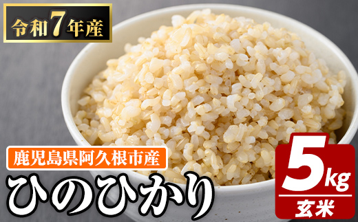 鹿児島県産の玄米 ひのひかり(計5kg) 国産 玄米 自社精米 ご飯 おこめ おにぎり お弁当 ひのひかり【谷口ファーム】akn064-04