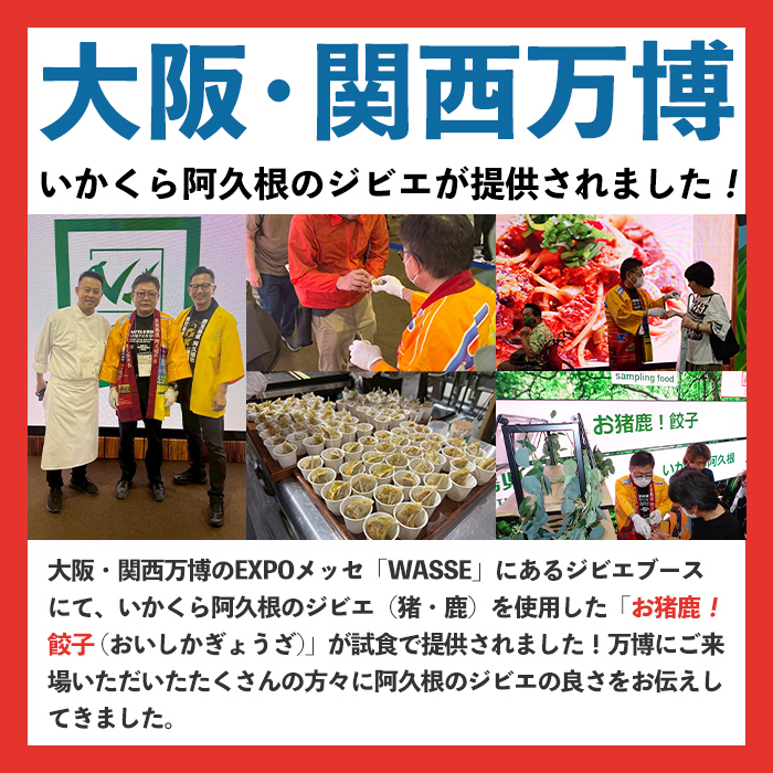 阿久根産！中びき 鹿肉&猪肉ミンチ(合計1.2kg・300g×各2P) 国産 肉 鹿肉 しか肉 シカ肉 猪肉 しし肉 シシ肉 いのしし肉 イノシシ肉 ミンチ 中挽き 中びき ジビエ 冷凍 ボタン鍋 ぼたん鍋 もみじ もみじ鍋 低カロリー 高たんぱく ダイエット 鉄分 山の幸【一般社団法人いかくら阿久根】akn076-04