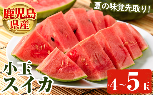 ＜先行予約受付中！2026年5月下旬以降順次発送予定＞鹿児島県産 小玉スイカ(4〜5玉) 国産 果物 スイカ すいか 西瓜 フルーツ スイーツ スムージー ジュース 期間限定【松永青果】akn053-25