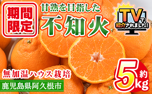 数量限定！鹿児島県産無加温ハウス栽培 不知火(計約5kg：大将季) 柑橘 果物 くだもの フルーツ 旬 しらぬい シラヌイ ハウス栽培 無加温 数量限定 期間限定【三笠農業生産】akn051-12
