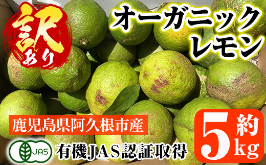 数量限定！有機JAS 訳ありオーガニックレモン(約5kg) 国産 訳あり レモン 檸檬 果実 果物 フルーツ 柑橘 デザート 期間限定 有機栽培 健康志向 【中村農場】a-14-50