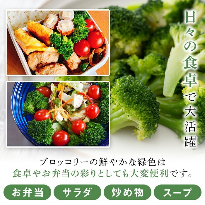 ＜先行予約受付中！2026年1月以降順次発送予定＞鹿児島県産冷凍ブロッコリー(合計2kg・約250g×8袋) 大容量 国産 野菜 冷凍 冷凍野菜 小分け【合同会社グッドフィールド】akn056-10