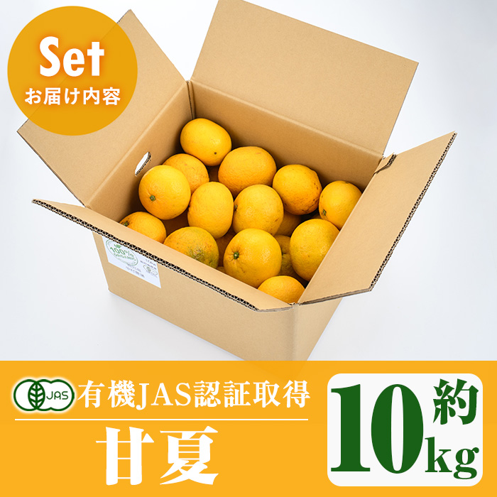 ïŒå
è¡äºçŽåä»äžïŒ2026幎2æäžæ¬ä»¥éçºéäºå®ïŒæ°ééå®ïŒææ©JAS çå€(çŽ10kg) åœç£ æå® æç© ãã«ãŒã ææ© ãã¶ãŒã æééå® ææ©æ œå¹ãäžæèŸ²å Žãakn084-05