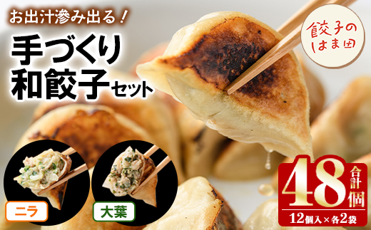 手づくり和餃子セット(ニラ餃子12個入×2袋+大葉餃子12個入×2袋・合計48個) 餃子 生餃子 ギョウザ ぎょうざ ギョーザ セット 詰め合わせ おかず お惣菜 冷凍 和風 水餃子 にら ニラ 大葉 手作り 食べ比べ 【餃子のはま田】akn096-03