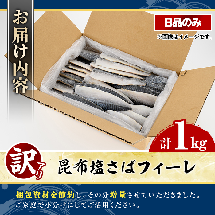 訳あり！昆布塩さばフィーレ(B品のみ・計1kg) サバ 鯖 おかず おつまみ 惣菜 焼き魚 切り身 昆布 ご家庭用 リピート 【グローバルフーズ】akn061-27