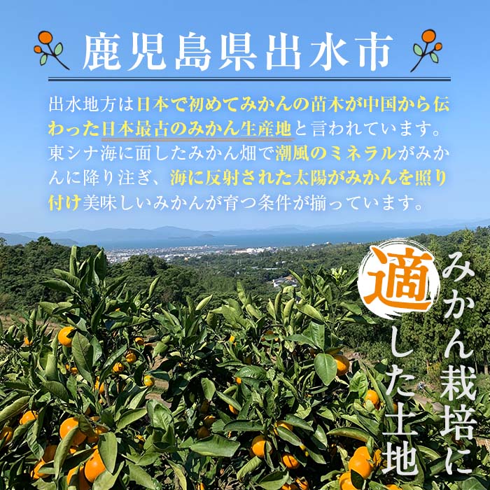 i570 ＜2024年11月下旬～2025年1月下旬の間に発送予定＞【特別栽培・最高金賞】温州みかん日本一！濃甘あめ玉みかん(約6kg・1箱＋傷み保障 約200g(3～4玉)【Farmer friends Marche】