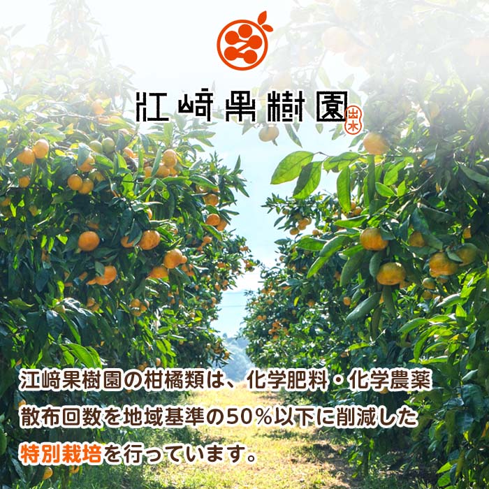 i615-k 【敬老の日ギフト】2種果実ミックスジュース(180ml×8本)【江崎果樹園】