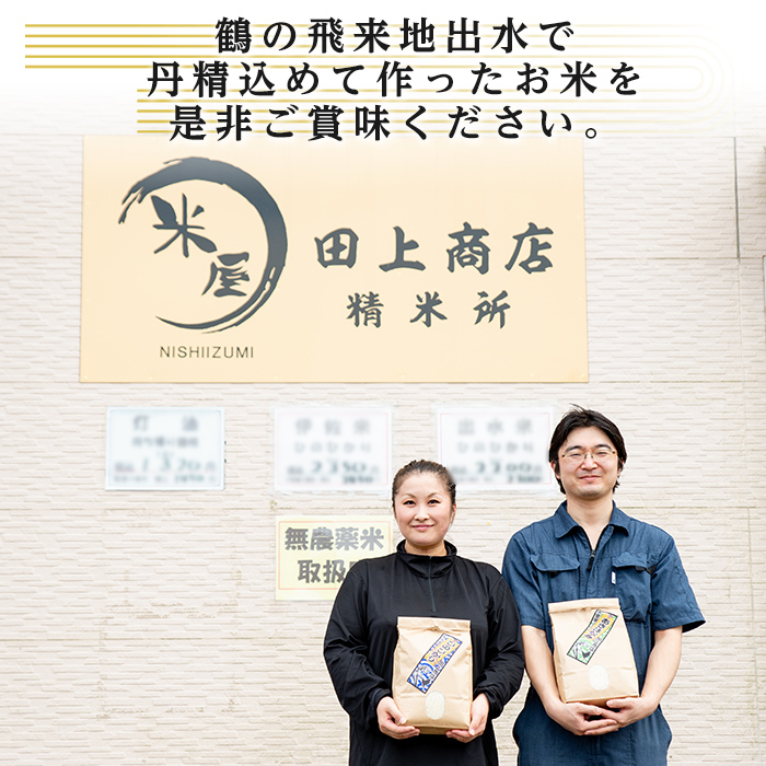 i650 ＜定期便・計12回(連続)＞鹿児島県出水市産あきほなみ＜(3kg×2袋・計6kg)×全12回＞【田上商店】