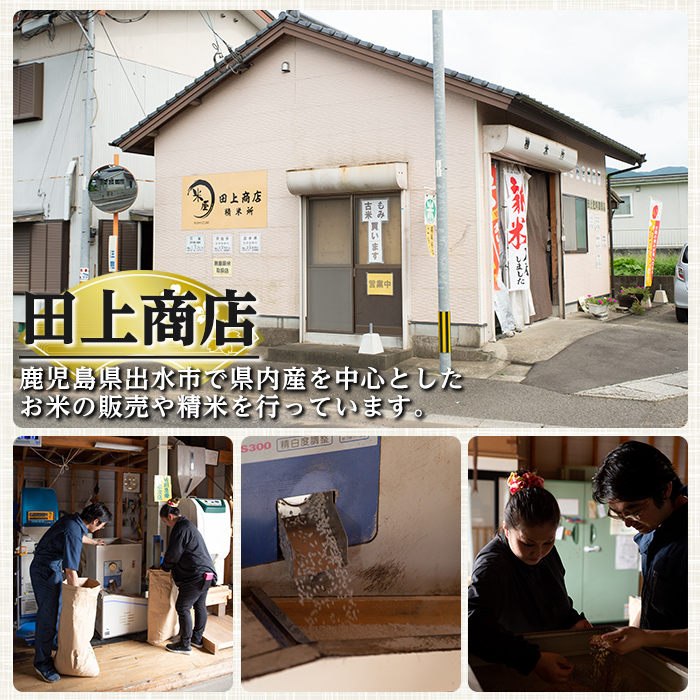 i543 ＜定期便・計6回(連続)＞鹿児島県出水市産ひのひかり美白米＜(3kg×2袋・計6kg)×全6回＞【田上商店】