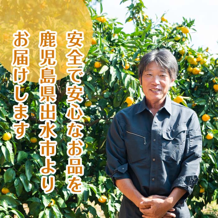 i990-D まるごと３種類果実ジュースセット(180ml×5本・全3種)【江崎果樹園】