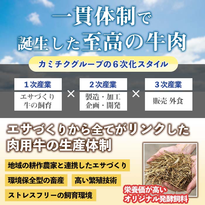 i382-2405 ＜2024年5月中に発送予定＞鹿児島県産黒毛和牛ユッケ6人前(40g×6P・計240g)【カミチク】