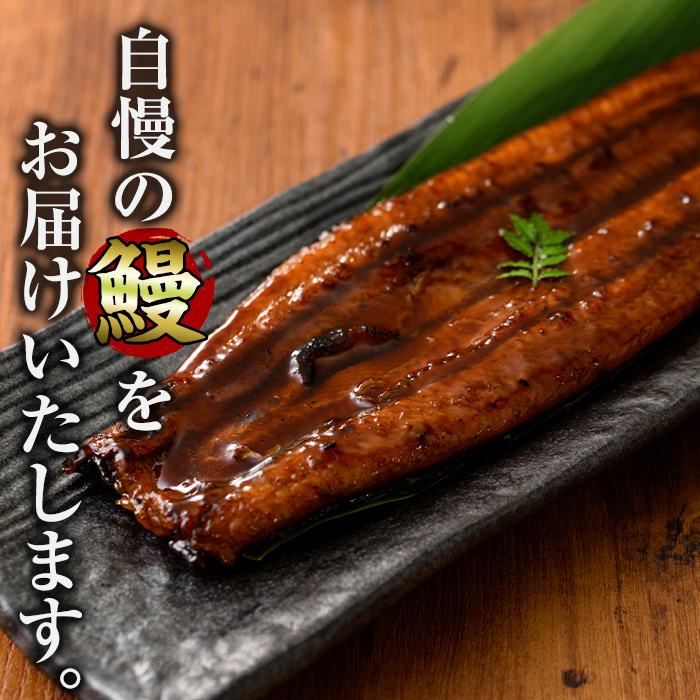 i853-A ＜定期便・計3回(連続月)＞鹿児島県産うなぎ蒲焼2尾セット＜(約140g×2・計約280g)×全3回＞【薩摩川内鰻】