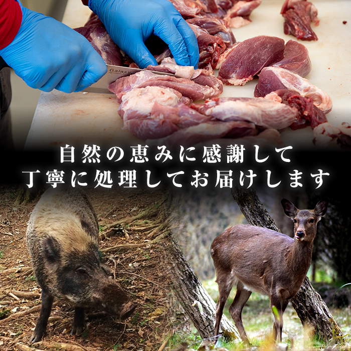 i336-k 【敬老の日ギフト】鹿児島県出水市産大幸鹿肉・猪肉のミンチ＜各500g×2パック・計2kg＞肉 鹿肉 猪肉 ジビエ ミンチ 挽肉 料理 高タンパク 低カロリー 鉄分豊富 亜鉛 ビタミンB群 ダイエット 健康 ハンバーグ メンチカツ 料理 冷凍 敬老の日 ギフト【大幸】