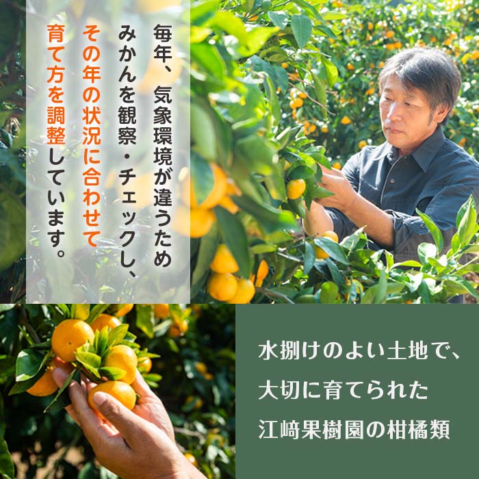 i608 3種果実ミックスジュース(180ml×8本)【江崎果樹園】