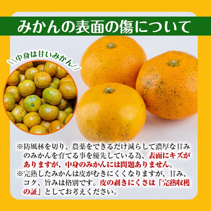 i687 ＜2024年11月下旬～2025年1月下旬の間に発送予定＞【特別栽培・最高金賞】温州みかん日本一！濃甘あめ玉みかん(約3kg・1箱＋傷み保障約200g(3～4玉)【Farmer friends Marche】