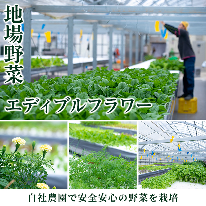 i679 ＜1名様・体験入所＞湯治で湯ったりロングステイ(6泊7日・朝昼夕各６食付)【ひかりの郷】