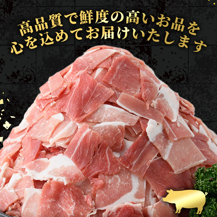 i999 鹿児島県産 黒豚 切り落とし (計3kg・600g×5パック) 国産 鹿児島県産 黒豚 豚肉 ブタ バラ肉 個包装 小分け 薄切り うす切り 冷凍配送 切り落し 切落し 切り落とし チャック袋 チャック付き 冷凍配送 【スターゼン】 [i999]