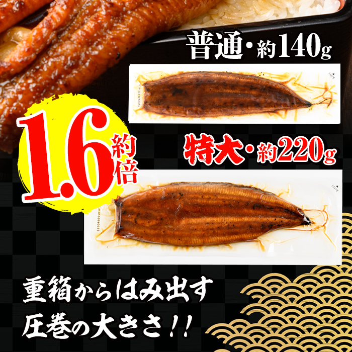 i1175-B ＜定期便・計6回(隔月)＞＼特大サイズ／鹿児島県産 うなぎ蒲焼 3尾セット ＜（約220g×3・計約660g）×全6回＞ 定期便 たれ 山椒付きうなぎ 鰻 ウナギ 特大 特大サイズ 約220g 蒲焼き 国産 鹿児島県産 焼きたて 生産量日本一 真空パック おかず 晩御飯 特別な日 土用の丑の日 【薩摩川内鰻】