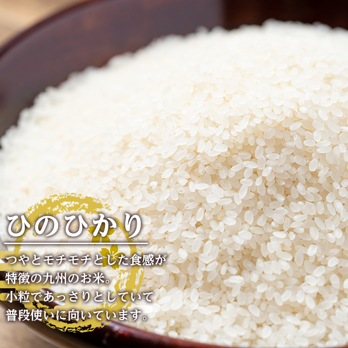i310-k 【敬老の日ギフト】鹿児島県出水市産ひのひかり白米＜3kg×2袋・計6kg＞ 米 白米 ヒノヒカリ 自家脱穀 自家精米 発送直前 精米 ごはん お米マイスター 厳選 ギフト プレゼント 贈答 敬老の日 【田上商店】