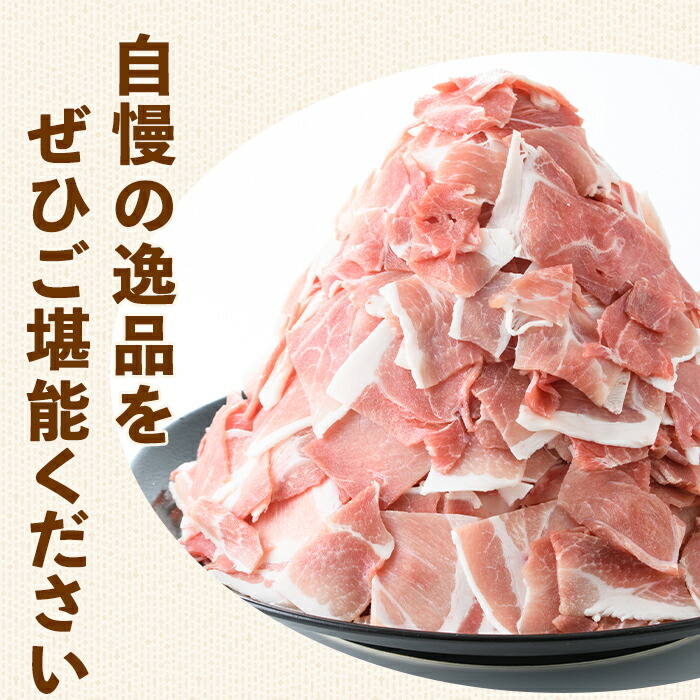i1207-A ＜定期便・計3回(連続月)＞九州産 豚コマ切れ肉  (500g×2P×3回・計3kg) 鹿児島 豚肉 ポーク 小間切れ こま切れ 豚小間 細切れ 豚汁 炒め物 冷凍 定期便 連続月 500g 【ナンチク】