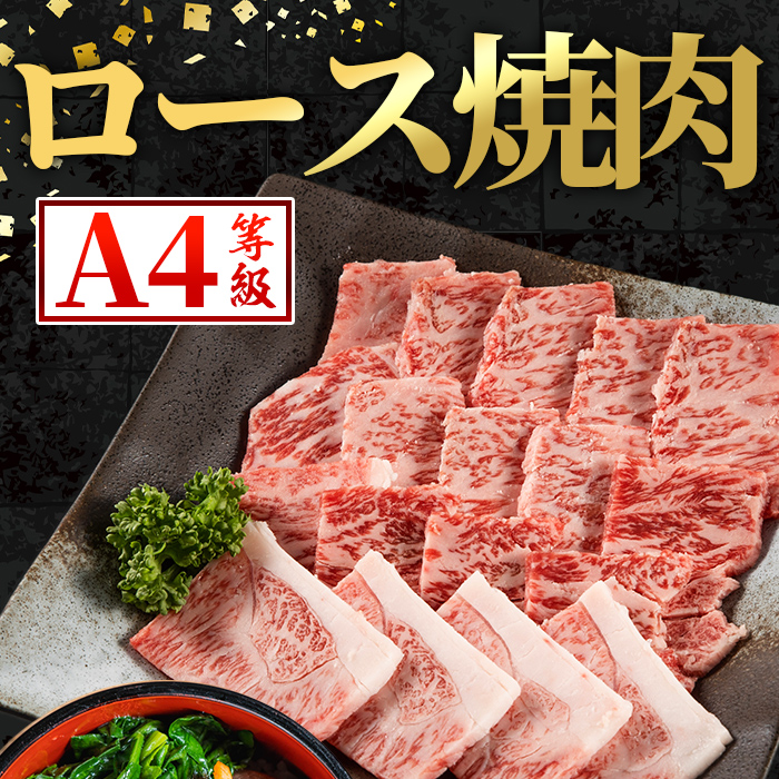 i1001 鹿児島県産 黒毛和牛 ロース焼肉用  (計約400g) 国産 九州産 鹿児島産 黒毛和牛 牛肉 国産牛 ロース 焼肉 焼き肉 BBQ ロース肉 冷凍配送 【スターゼン】