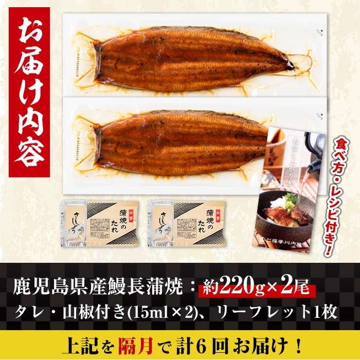 i1173-B ＜定期便・計6回(隔月)＞＼特大サイズ／鹿児島県産 うなぎ蒲焼 2尾セット ＜（約220g×2・計約440g）×全6回＞ 定期便 たれ 山椒付きうなぎ 鰻 ウナギ 特大 特大サイズ 約220g 蒲焼き 国産 鹿児島県産 焼きたて 生産量日本一 真空パック おかず 晩御飯 特別な日 土用の丑の日 【薩摩川内鰻】