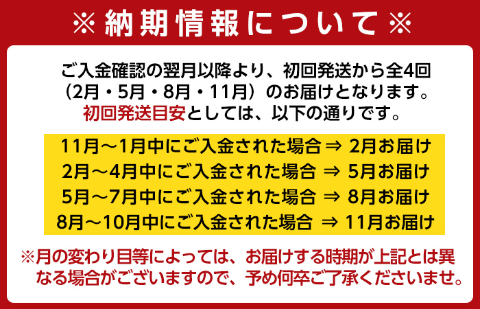 i536 ＜定期便・計4回(2月・5月・8月・11月)＞不揃いのため訳あり！九州産たけのこ水煮＜(計1.6kg・200g×8P)×全4回＞【マツバラ】