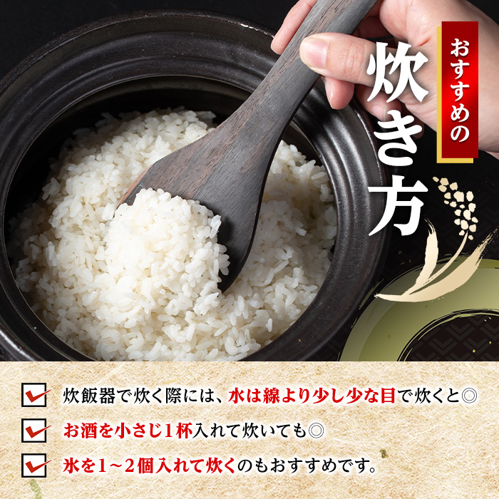 i673 ＜訳あり・数量限定＞出水産ブレンド米(10kg) 米 お米 10kg 訳アリ 不揃い ブレンド米 チャーハン オムライス 数量限定 【田上商店】