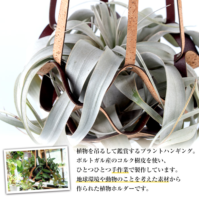 i616 コルクレザーハンギング(植物なし)地球環境や動物に配慮した素材で作られたプラントハンガー！【kurk PLANT LEATHER】