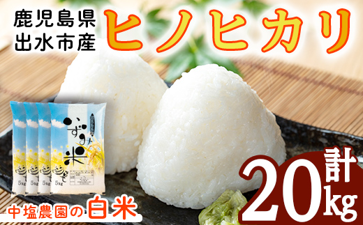 i1079-C ＜令和7年産 新米＞鹿児島県 出水市産 ヒノヒカリ (計20kg・5kg×4袋) 米 20kg ひのひかりヒノヒカリ 鹿児島 20キロ お米 九州 九州産 甘み あっさり もちもち 新米 【いずみキッチン】