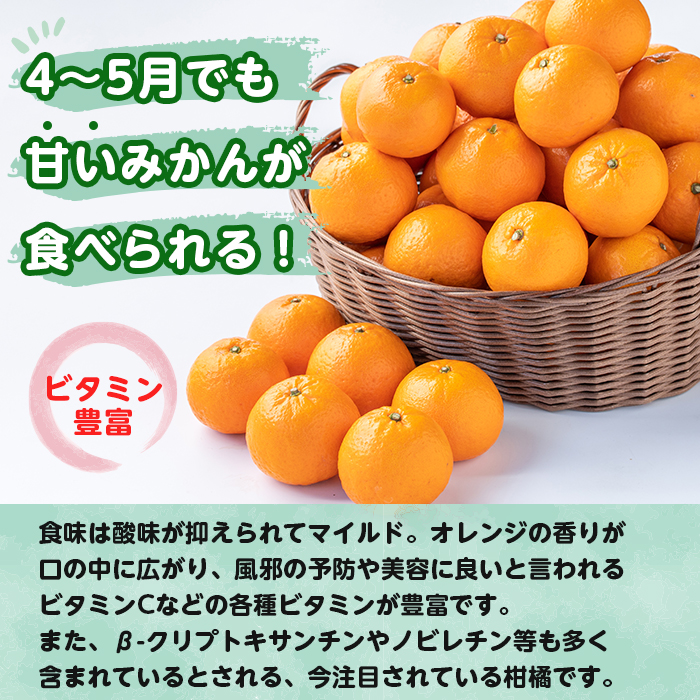 i585-m 【母の日ギフト】農6みかん(約5kg) 果物 フルーツ 柑橘 国産 鹿児島県産 みかん 蜜柑 母の日 プレゼント ギフト 贈答 【江崎果樹園】
